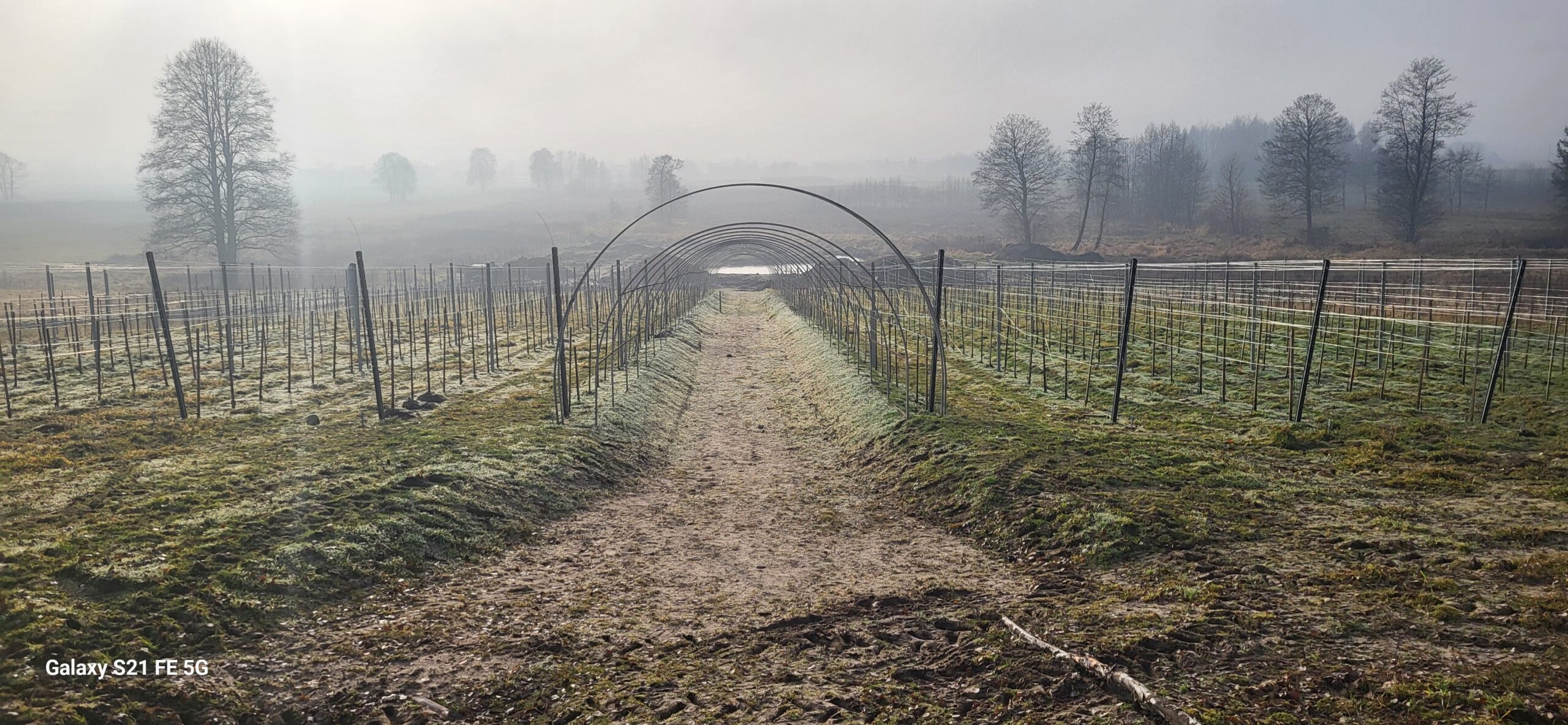 20251219 105609 Scaled