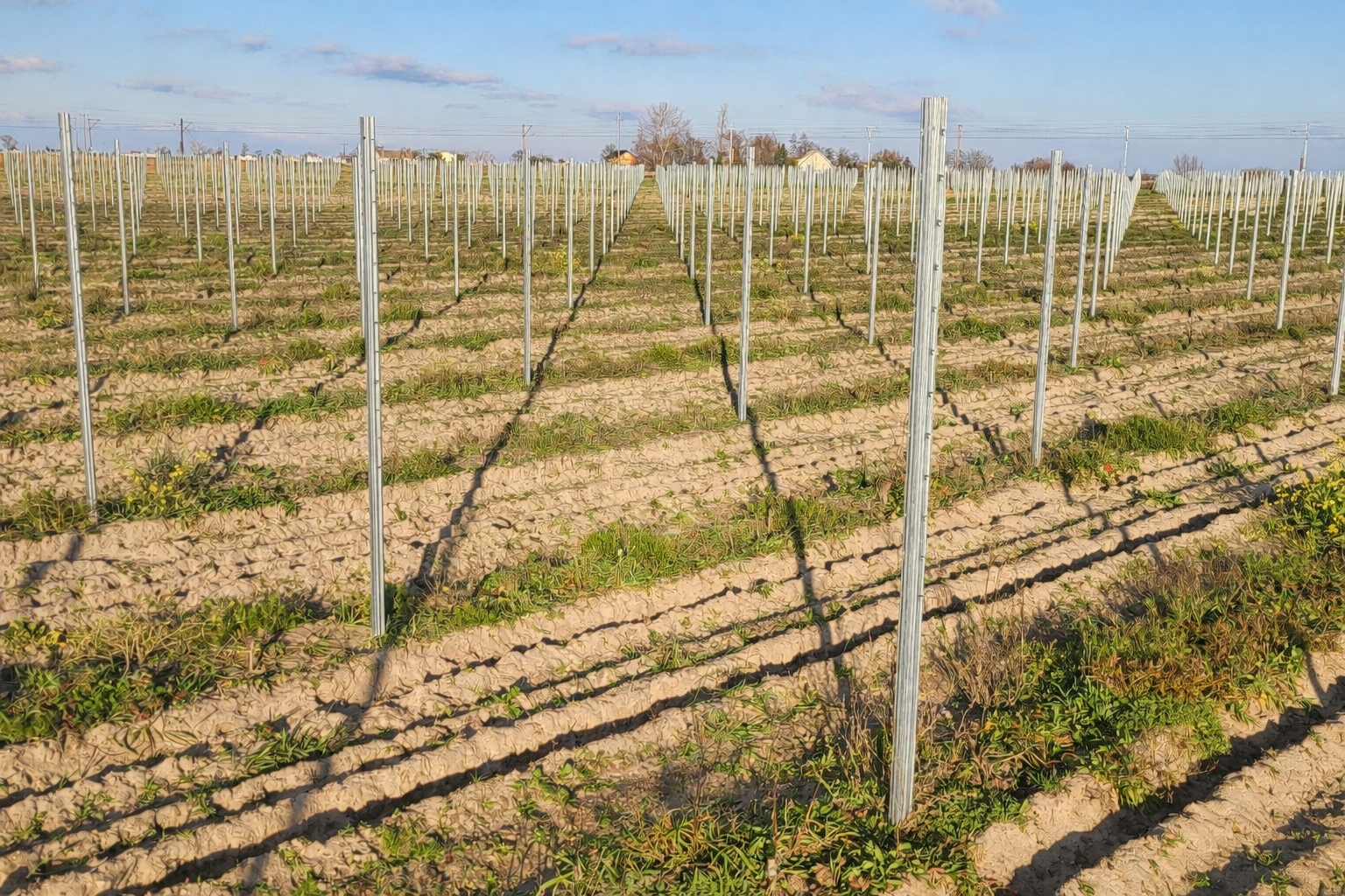 ChatGPT Image 17 Mar 2026 17 40 14